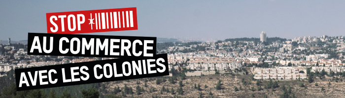 LG - Petition carrefour - em2 (rapport)